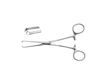 ALLIS FORCEPS 6
